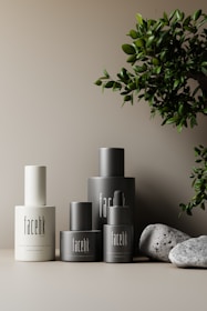A collection of minimalist skincare bottles arranged on a smooth surface with a natural, matte finish. The bottles are labeled 'facebk' and vary in sizes with a sleek design. To the right, green foliage adds a touch of freshness while a few natural stones provide an earthy contrast.