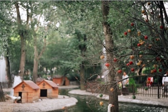 Volunteers setting up a cozy feeding station with water and shelter in a quiet neighborhood corner.