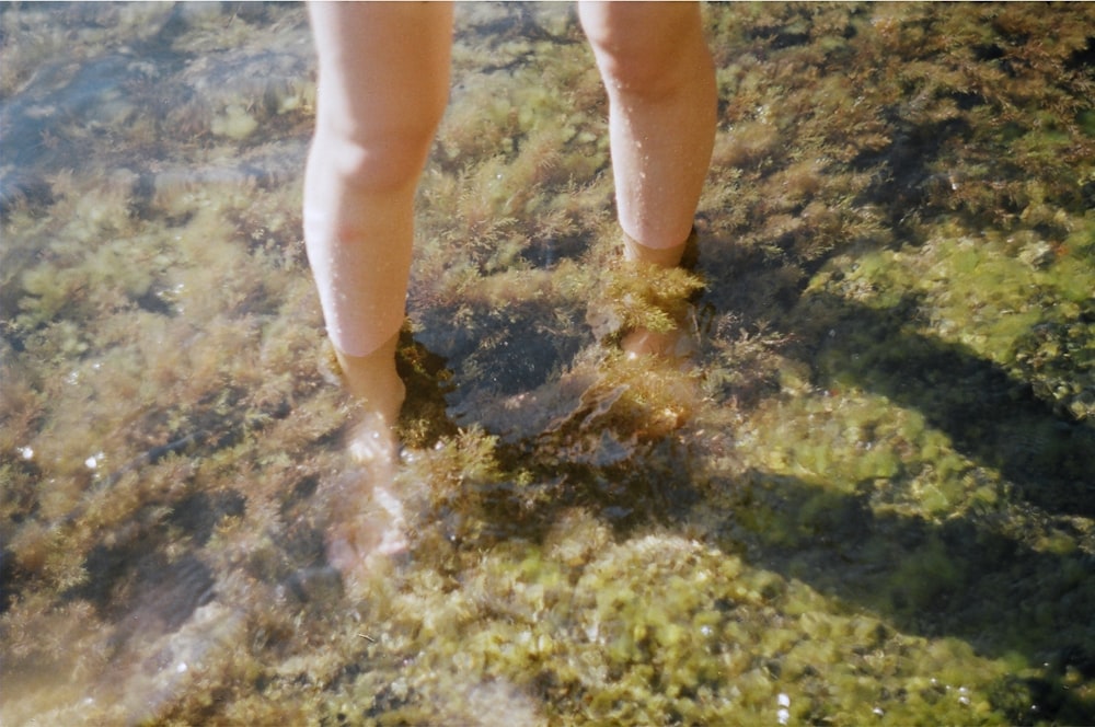 a person standing in shallow water with their feet in the water