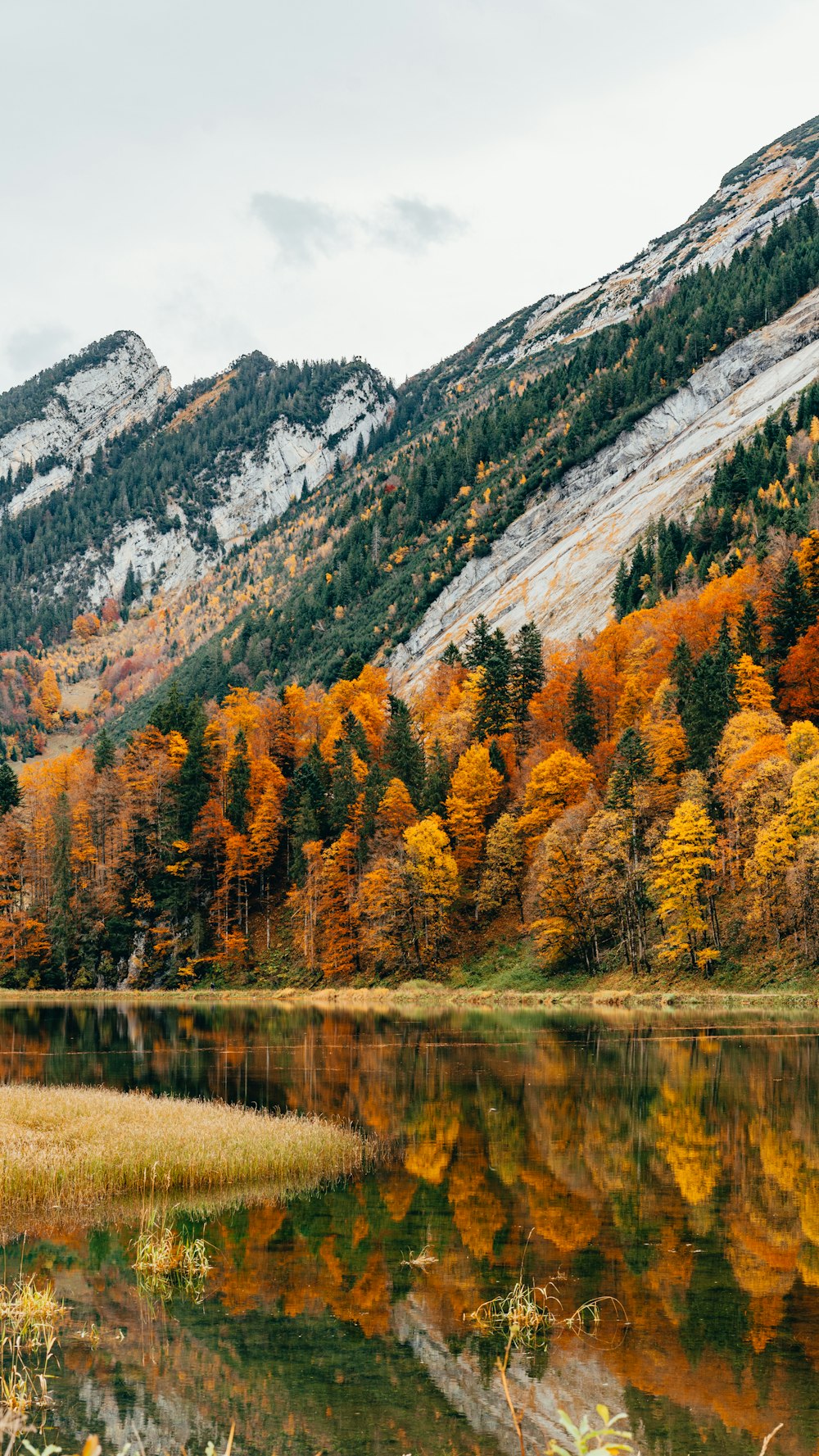 a mountain with a lake surrounded by trees