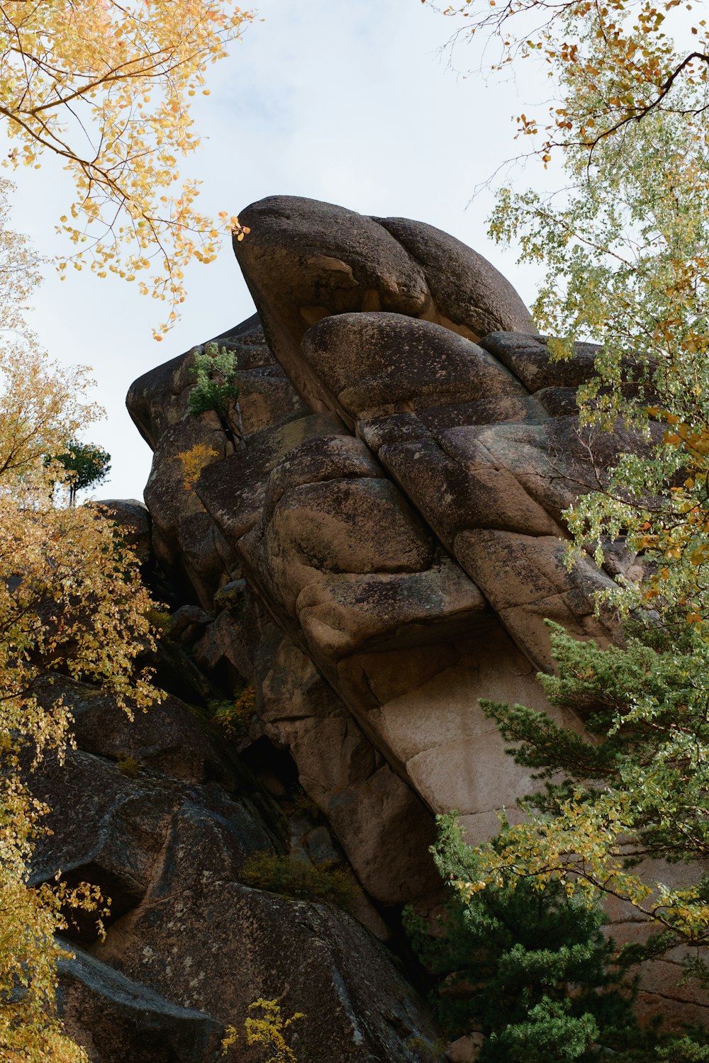 a rock formation in the middle of a forest