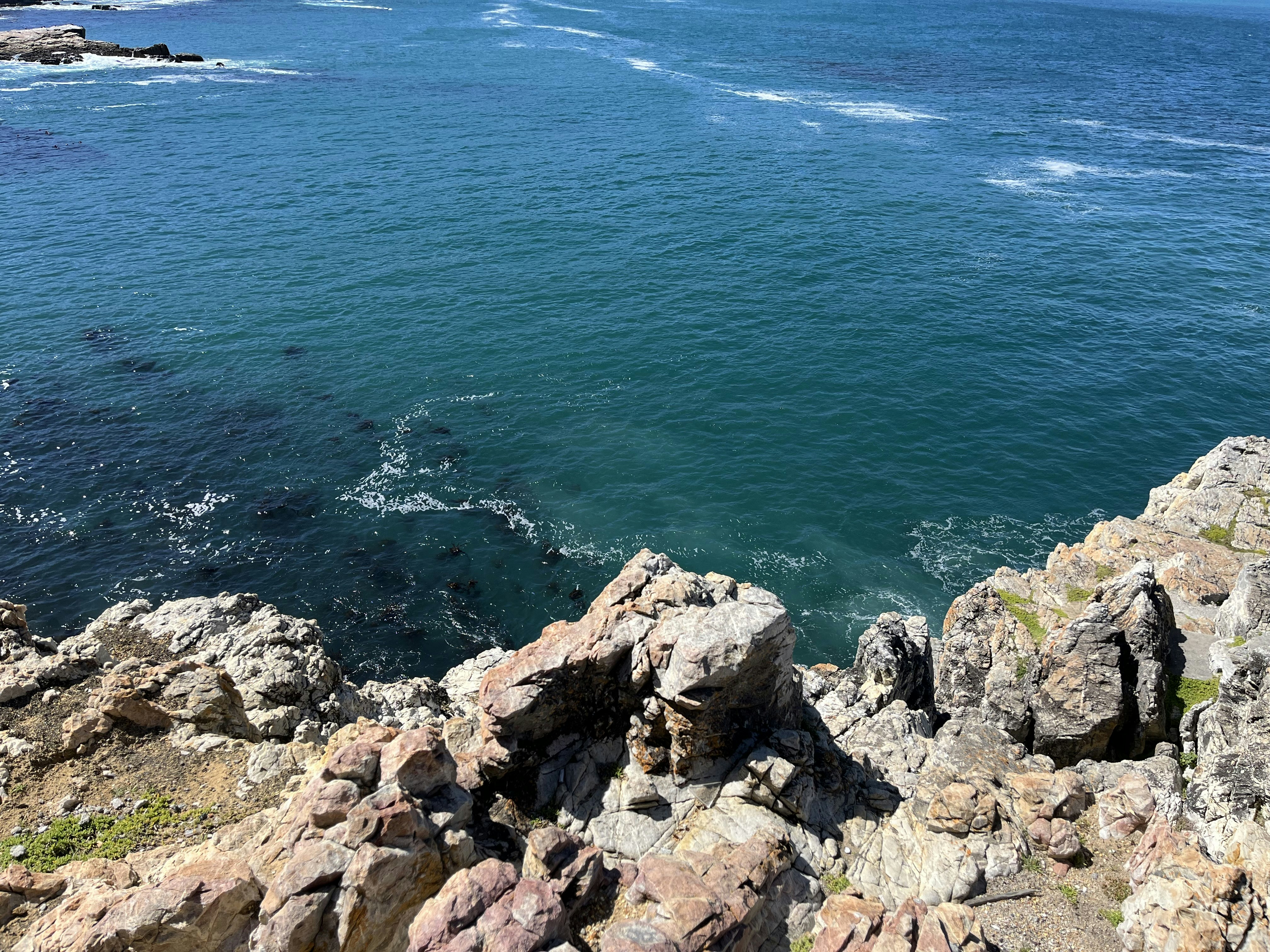 Photo by riondevilliers