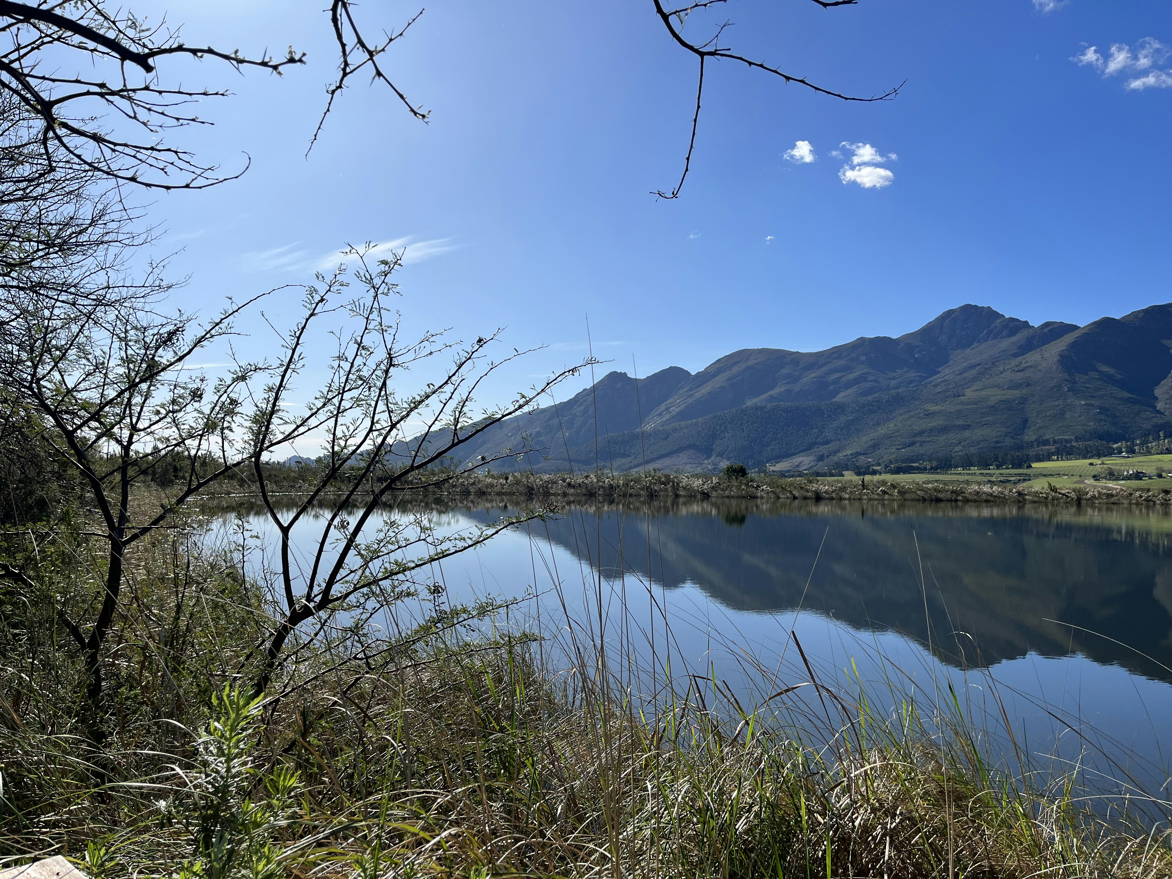 Photo by riondevilliers