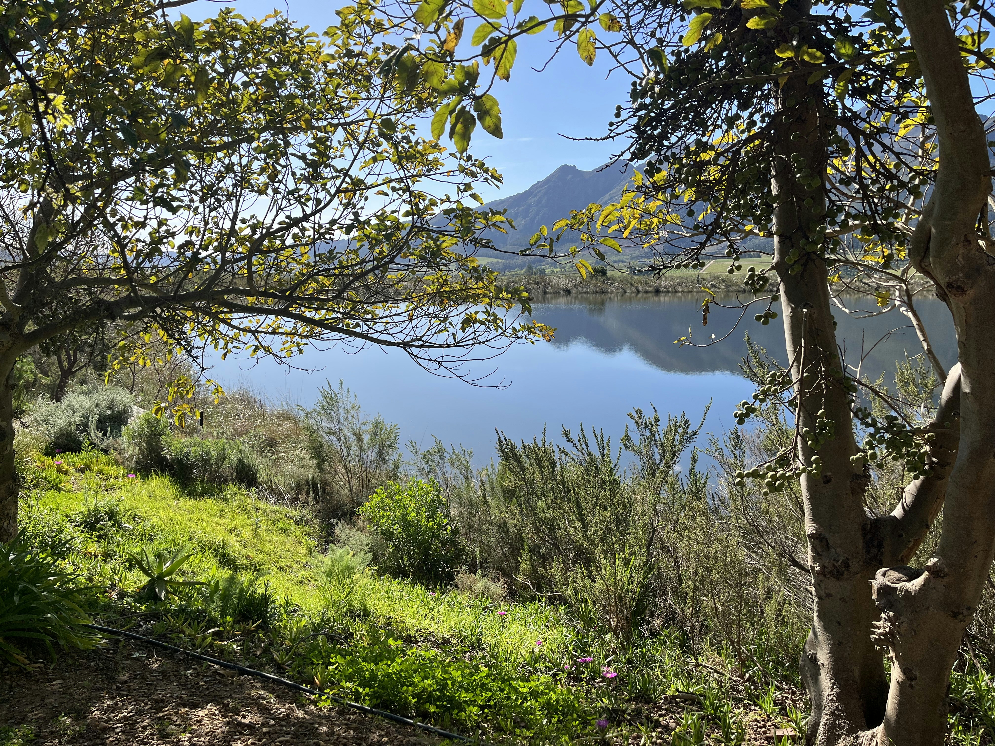 Photo by riondevilliers