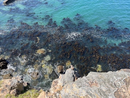 a body of water filled with lots of rocks