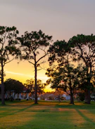 A plot bordered by mature trees with a sunset in the background.