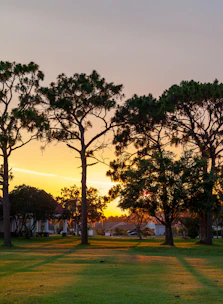 Sunset view of a spacious plot surrounded by trees.