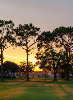 Sunset view of a spacious plot surrounded by trees.