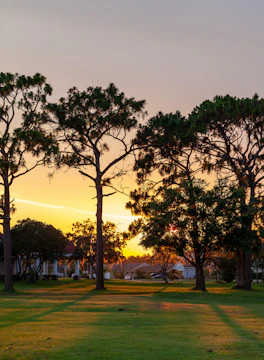 A plot bordered by mature trees with a sunset in the background.