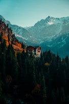 Cozy rustic cabin exterior nestled among pine trees with mountain peaks in the background under a clear blue sky.