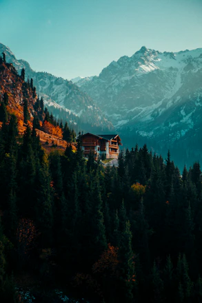 A cozy mountain lodge nestled among towering pine trees under a clear blue sky.