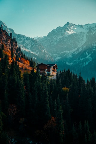 Cozy wooden cabin nestled among lush green trees with mountains in the background under a clear blue sky.