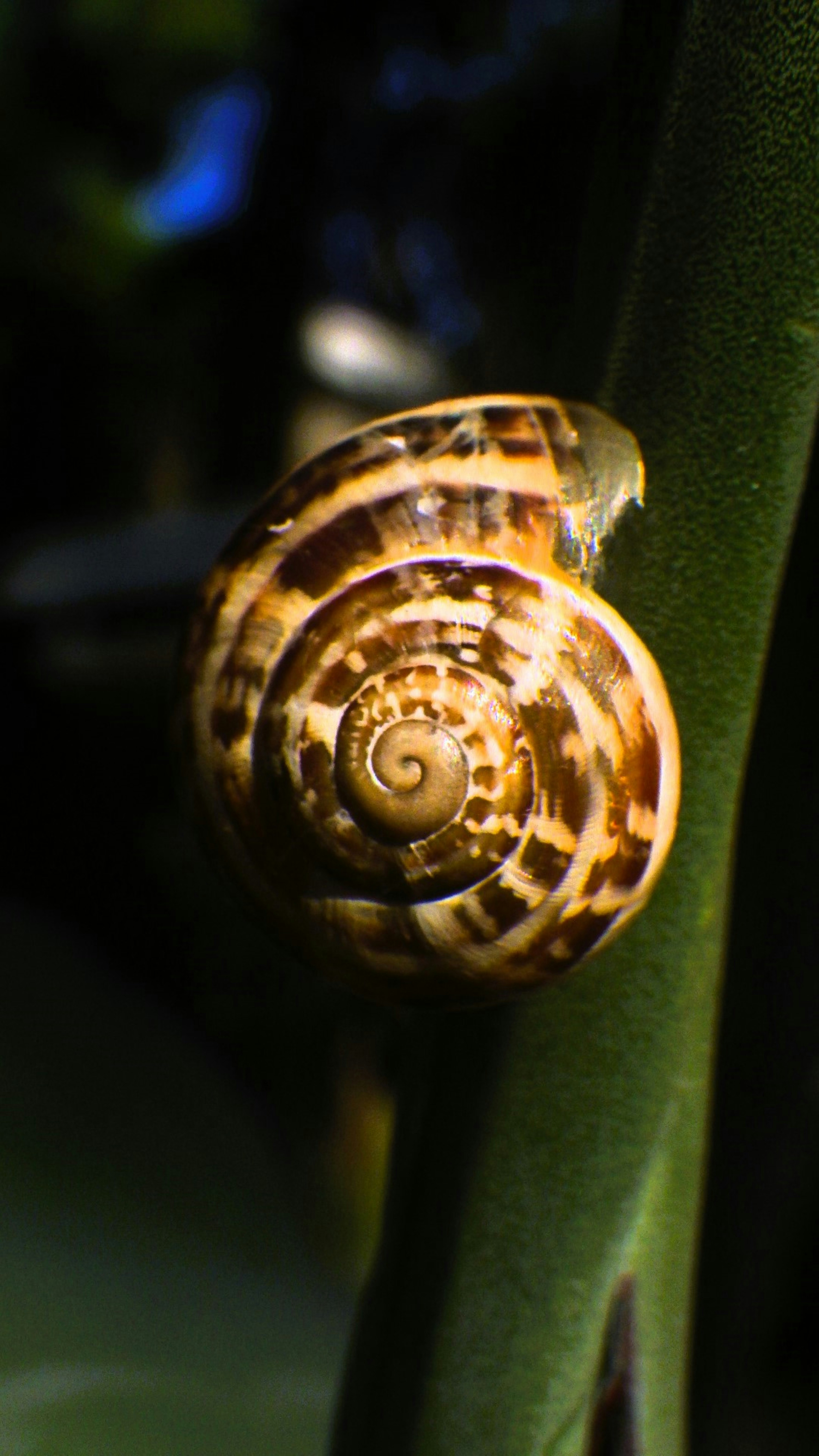 Photo by dominapetric