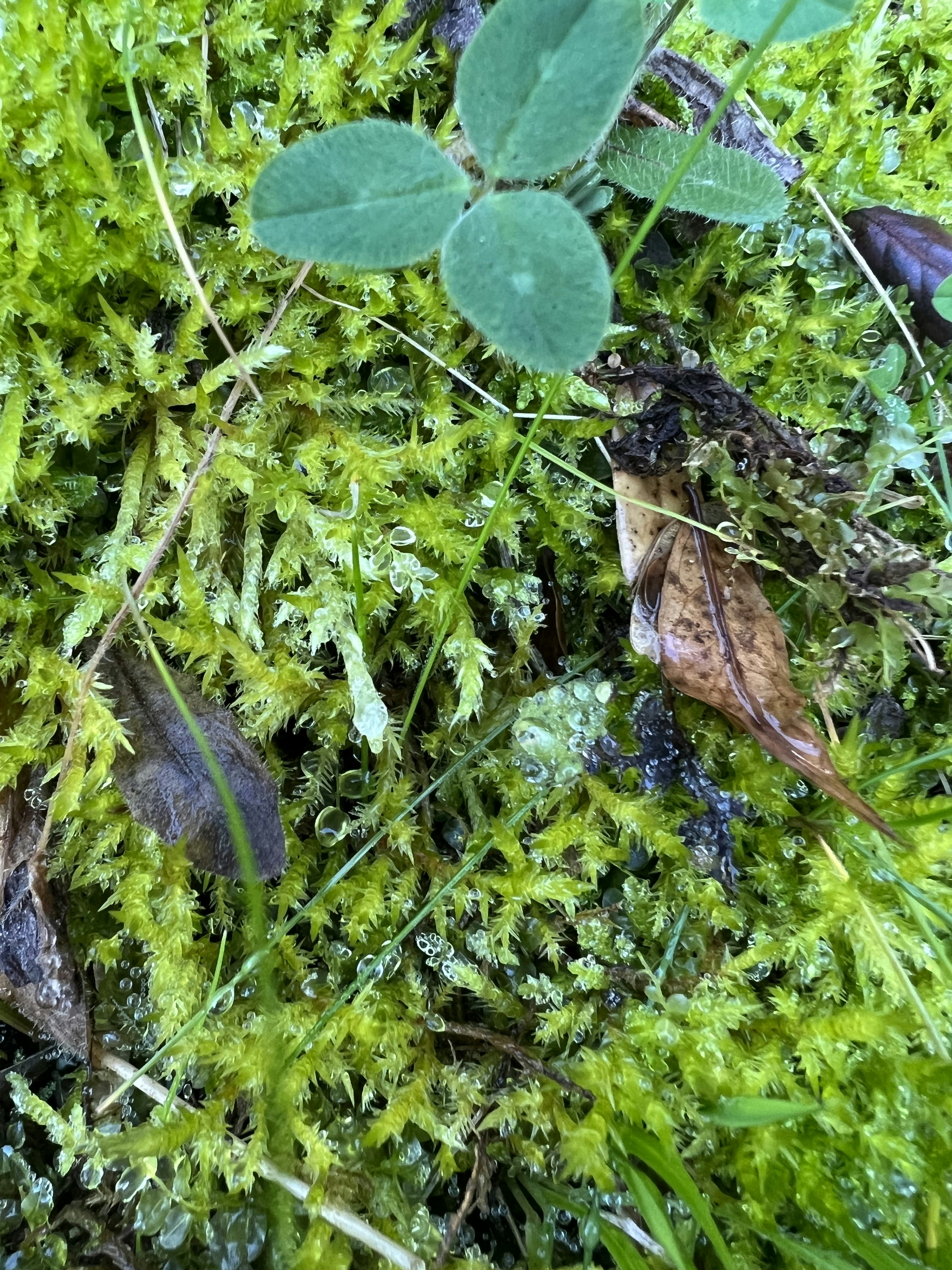 Photo by antoniadou_el