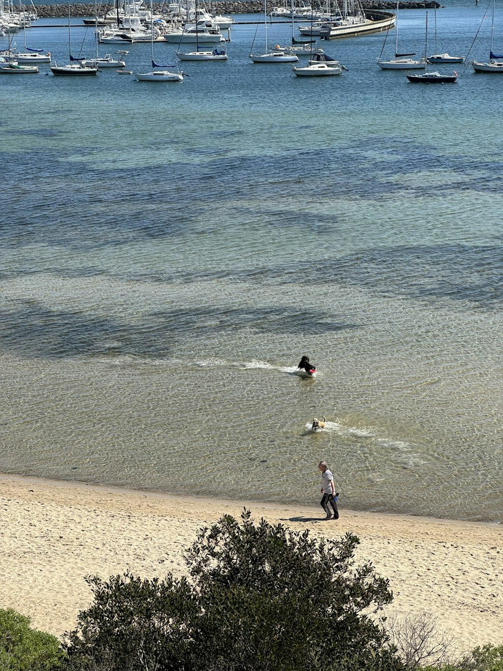 a couple of people that are in the water