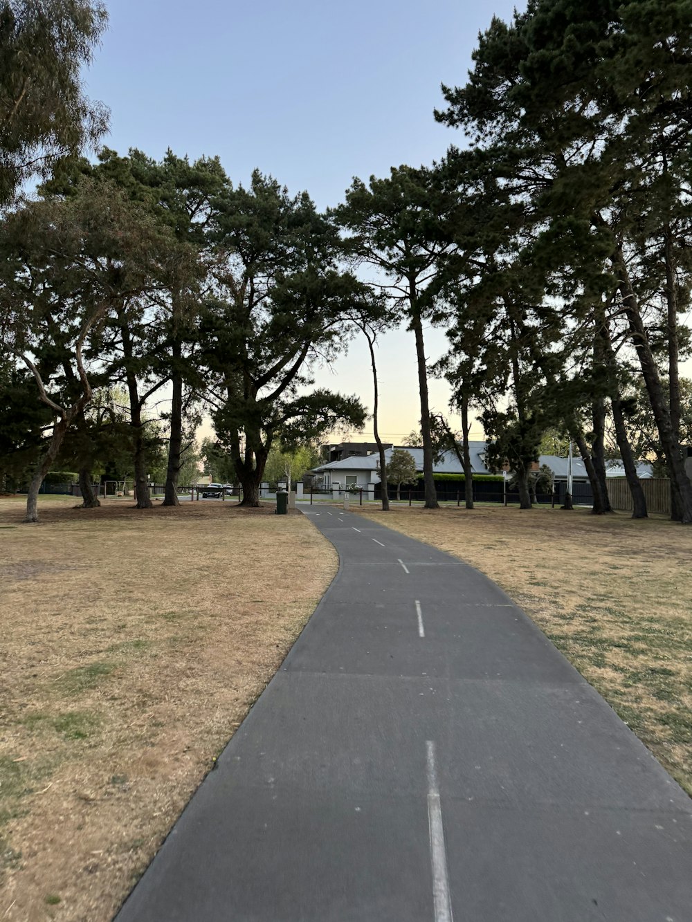 a paved path in a park lined with trees