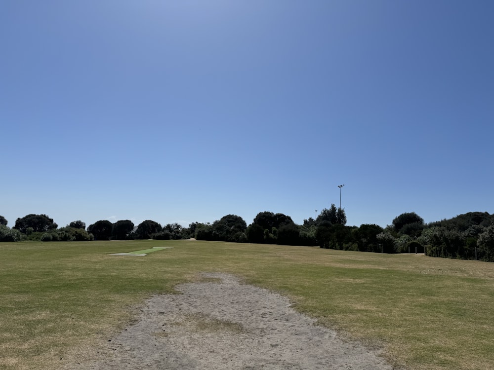 a grassy field with a dirt path in the middle of it