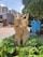 A wooden sculpture of three figures with raised arms is situated in a landscaped area with green plants. The setting is urban, with high-rise buildings in the background and a blue sky overhead. Nearby, there are informational boards from the New Delhi Municipal Council.