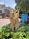 A wooden sculpture of three figures with raised arms is situated in a landscaped area with green plants. The setting is urban, with high-rise buildings in the background and a blue sky overhead. Nearby, there are informational boards from the New Delhi Municipal Council.