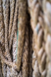 Close-up of several thick, textured ropes arranged in a vertical fashion, showing detailed fibers and intertwined strands.