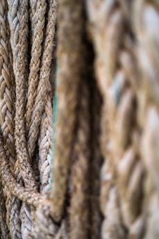 Close-up of several thick, textured ropes arranged in a vertical fashion, showing detailed fibers and intertwined strands.