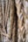 Close-up of several thick, textured ropes arranged in a vertical fashion, showing detailed fibers and intertwined strands.