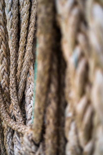 Close-up photo of natural fiber ropes neatly coiled on a wooden table.