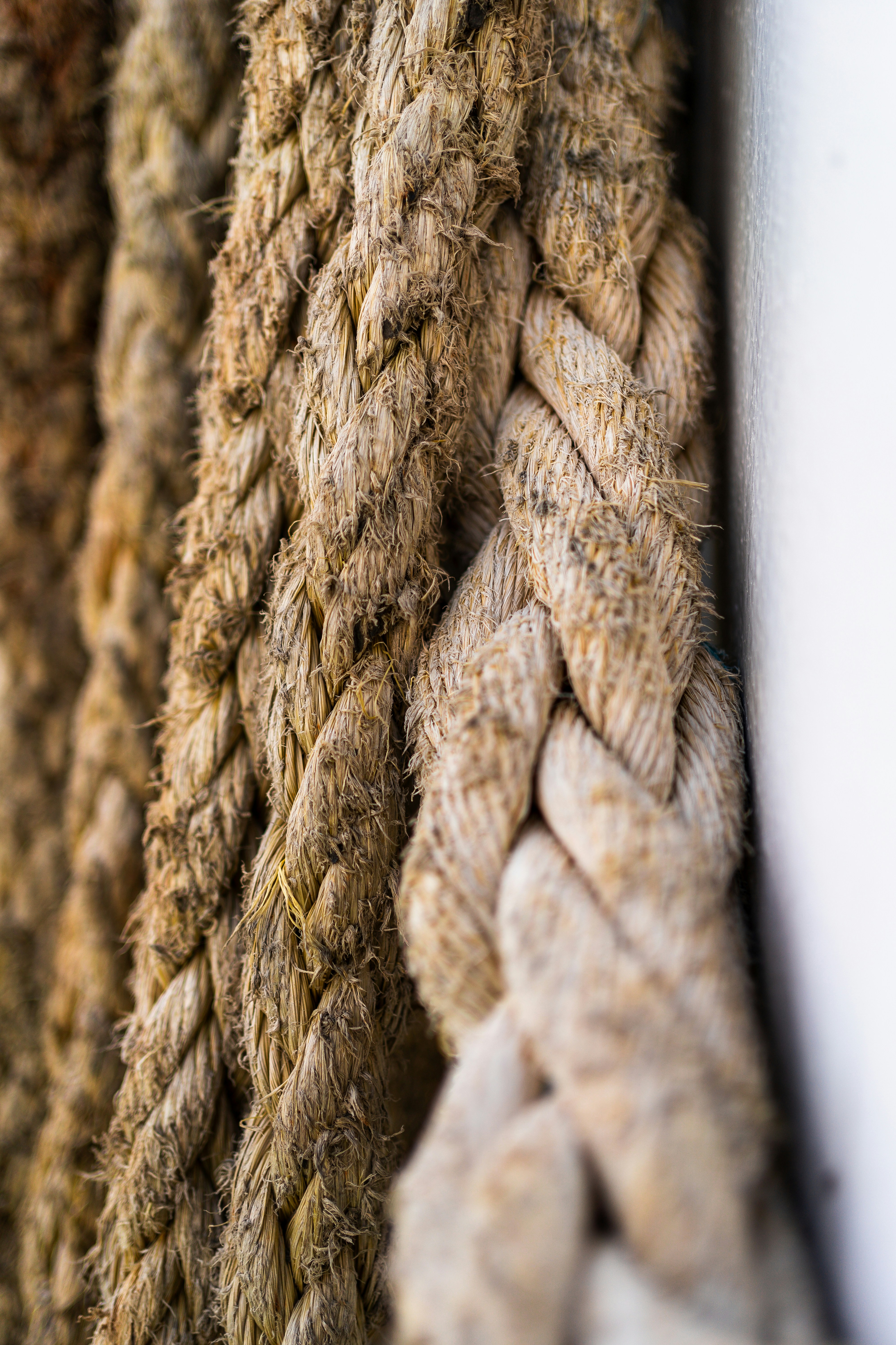 Photo by beckerworks