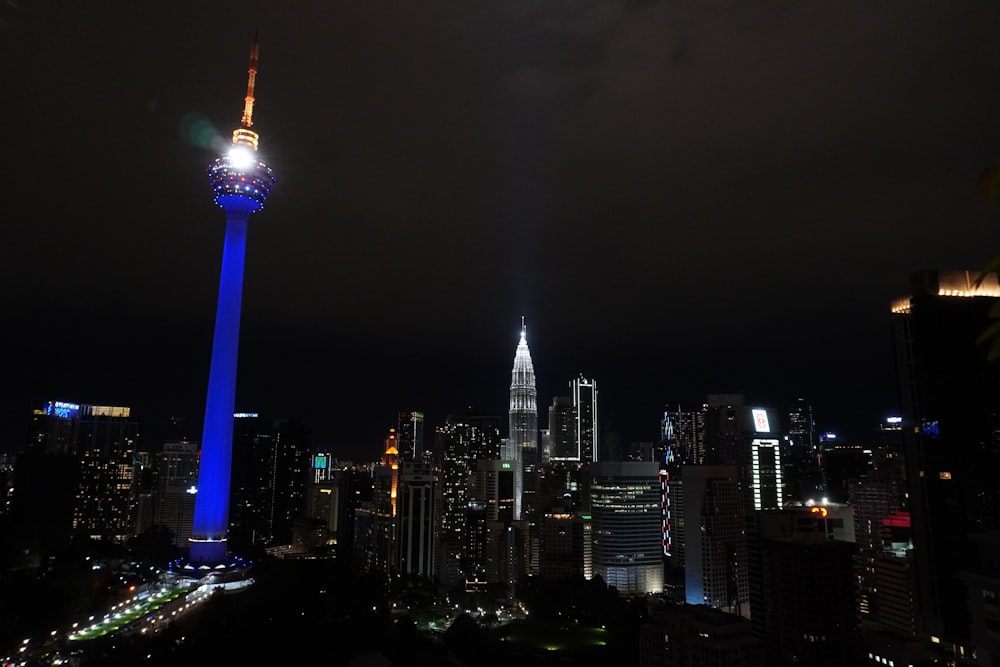 a view of a city skyline at night