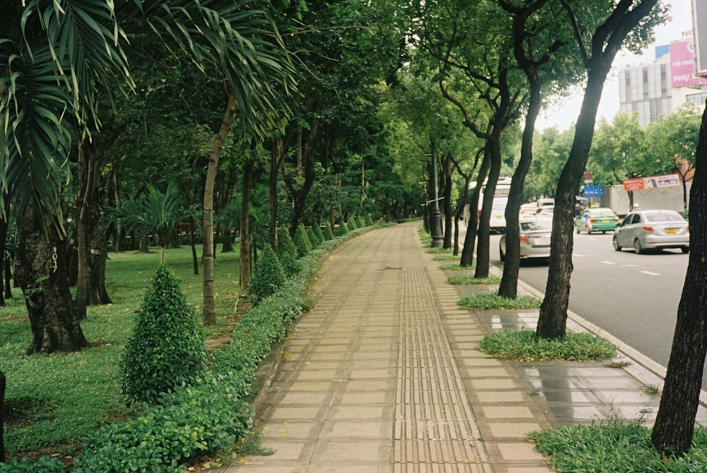 a street lined with trees and bushes next to a sidewalk