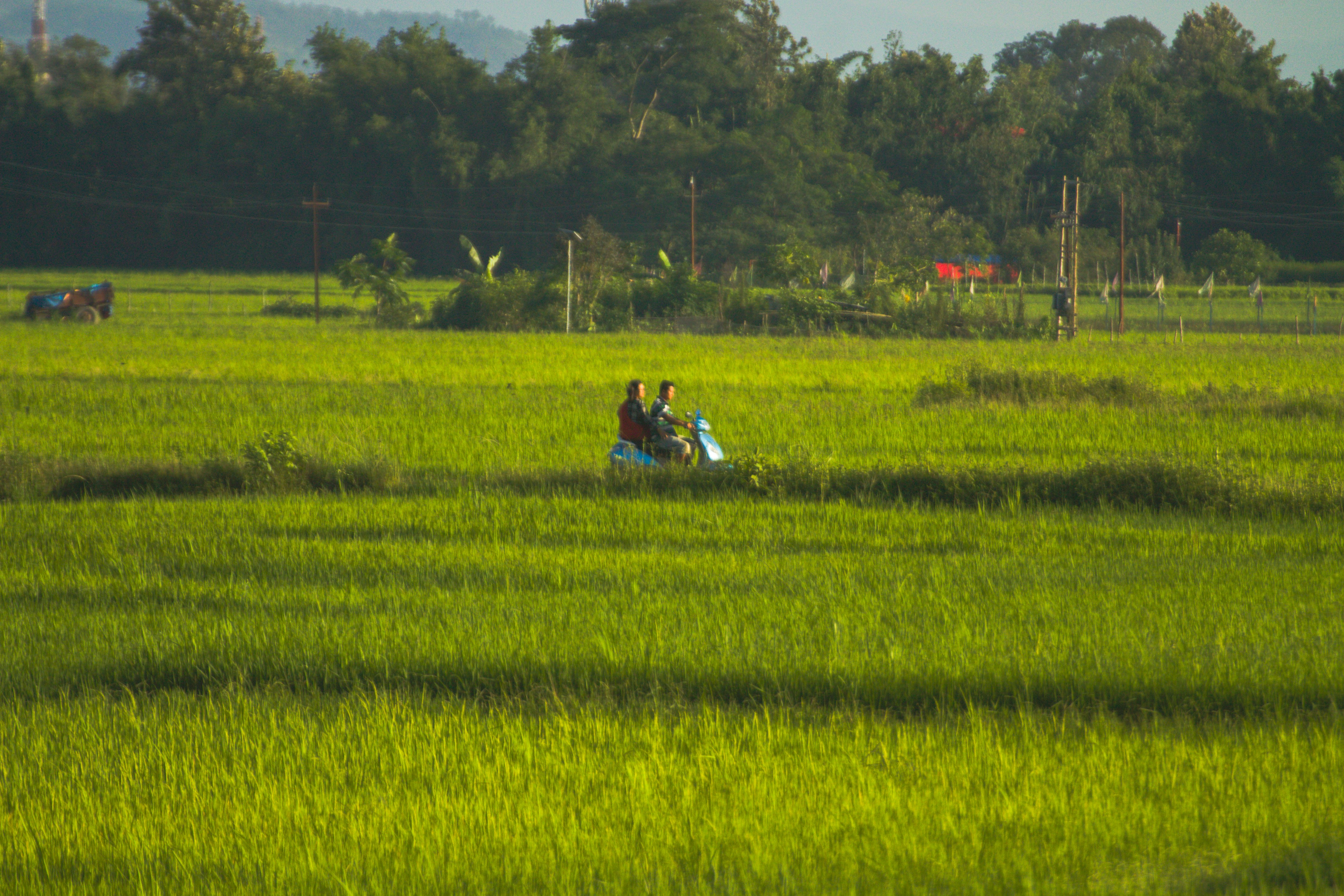 Photo by kushalmang1