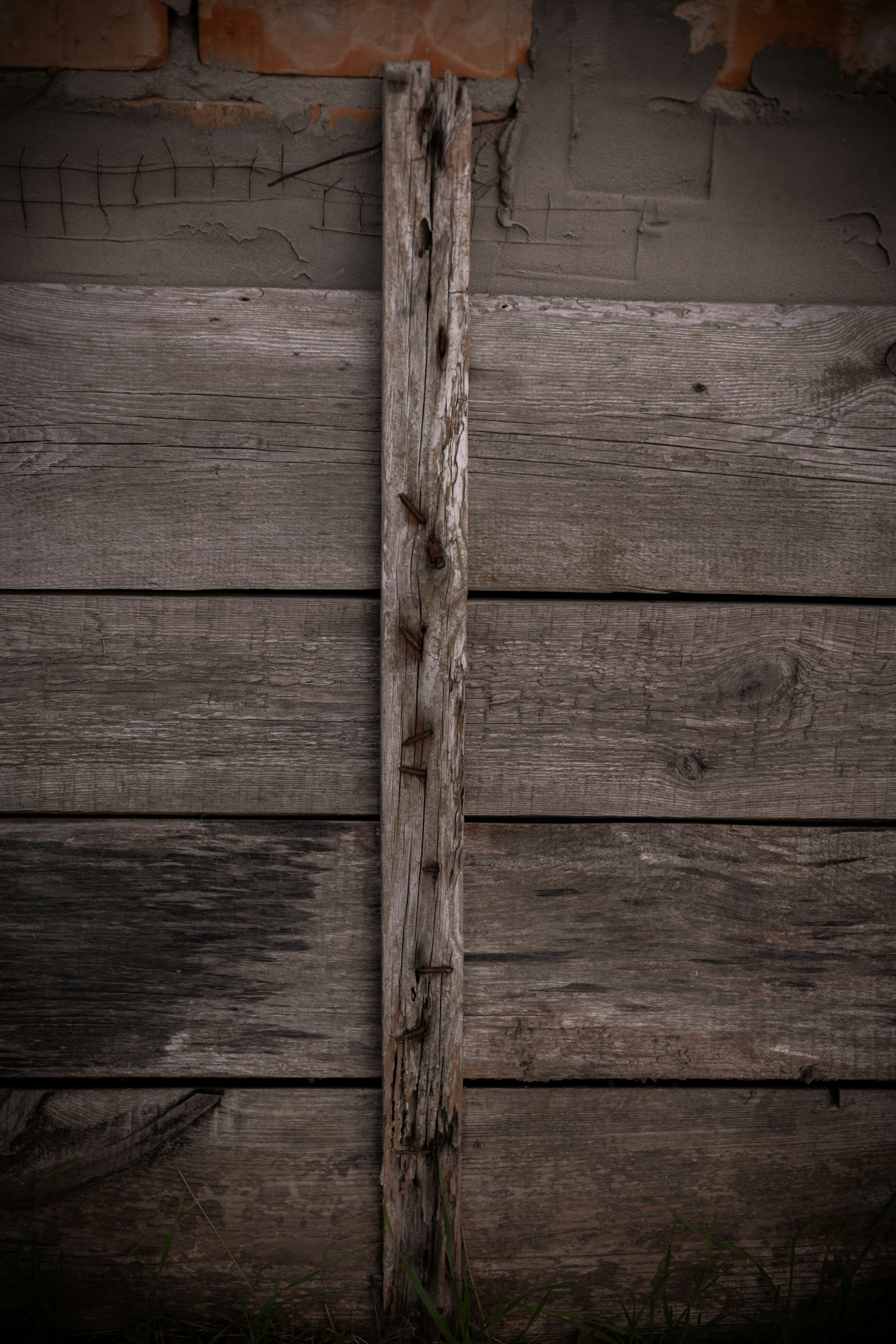 Photo by this_misty_garden