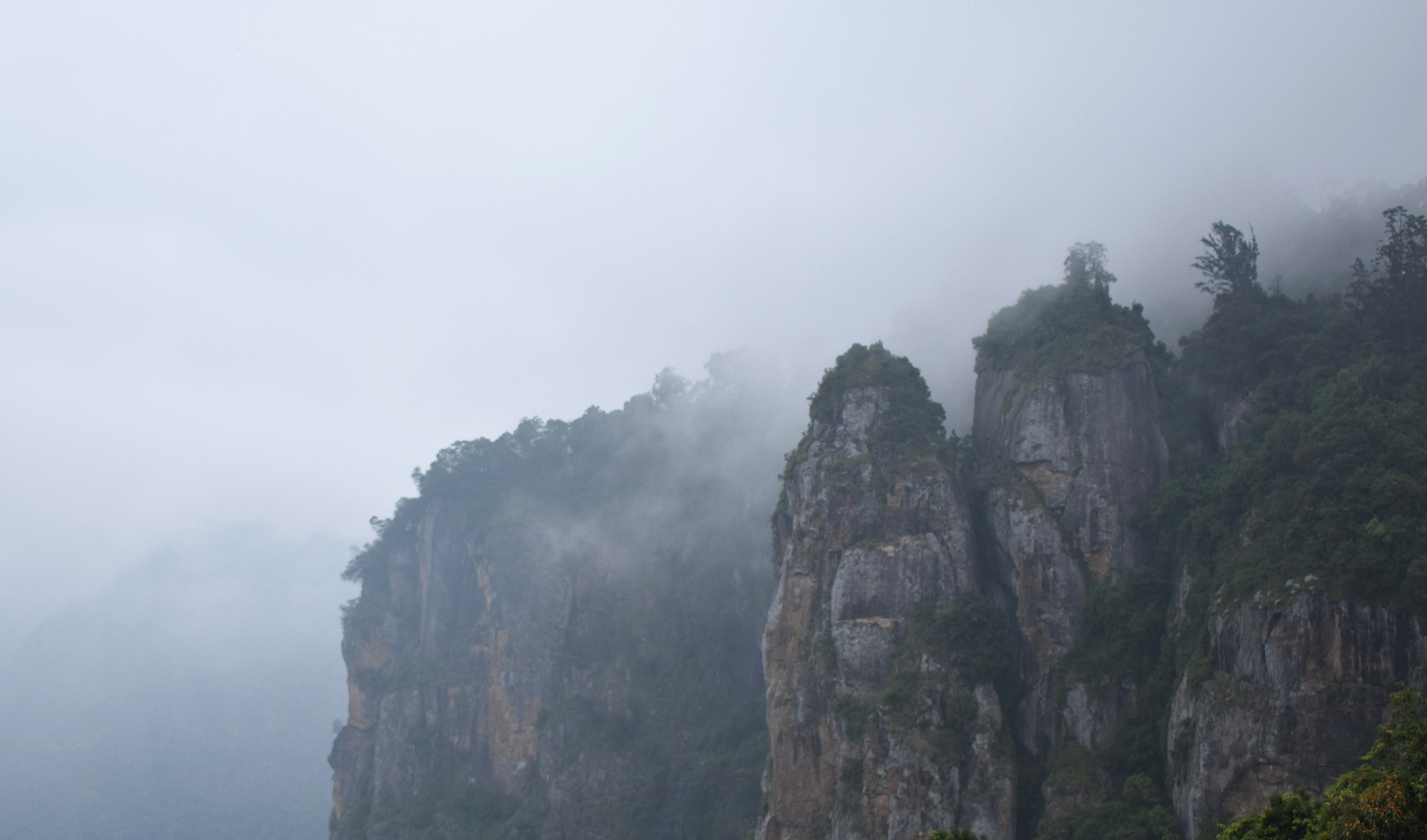 Photo by avinaash_ponnada