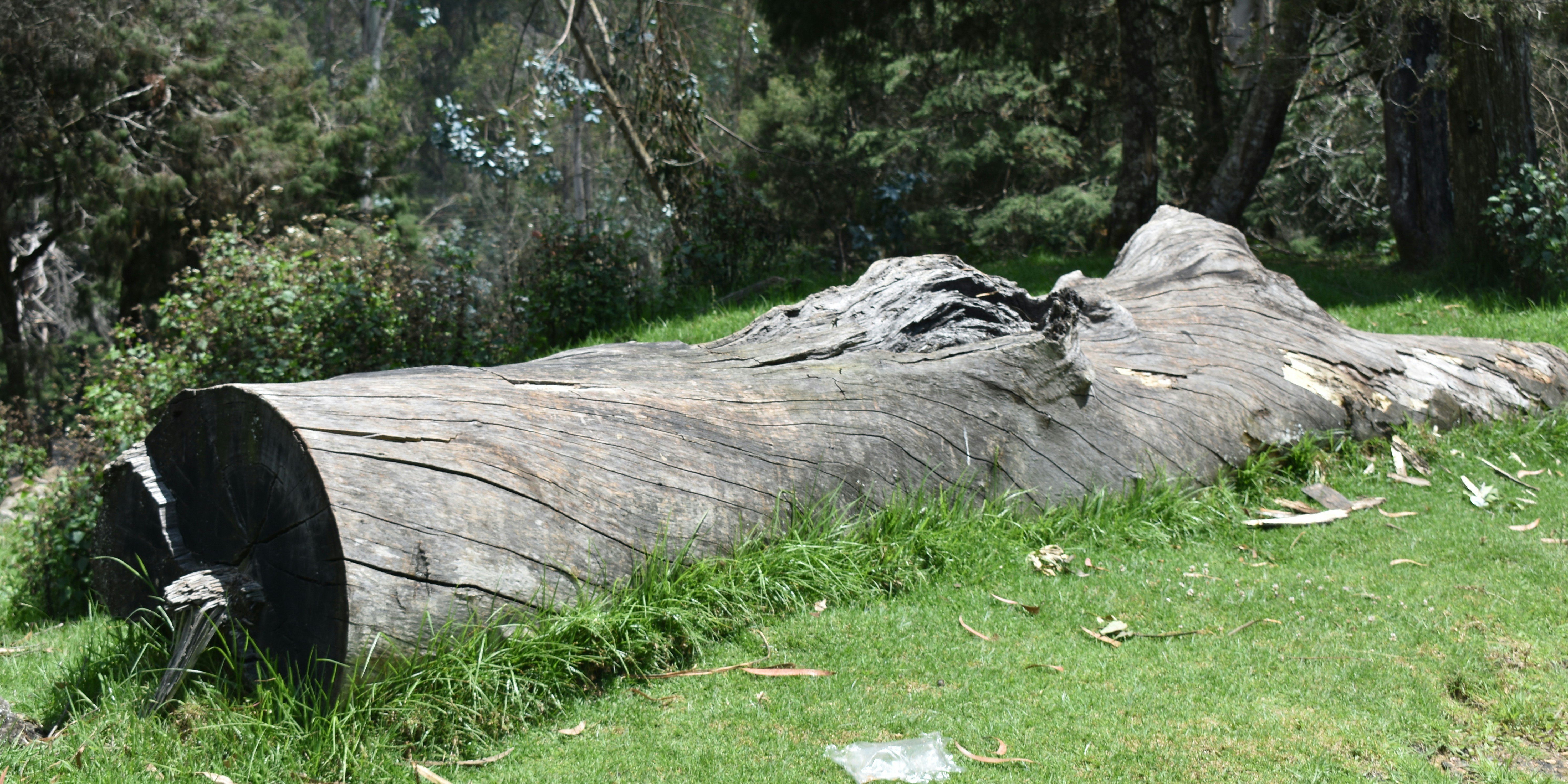 Photo by avinaash_ponnada