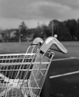 A close-up of a shopping cart filled with discounted products.