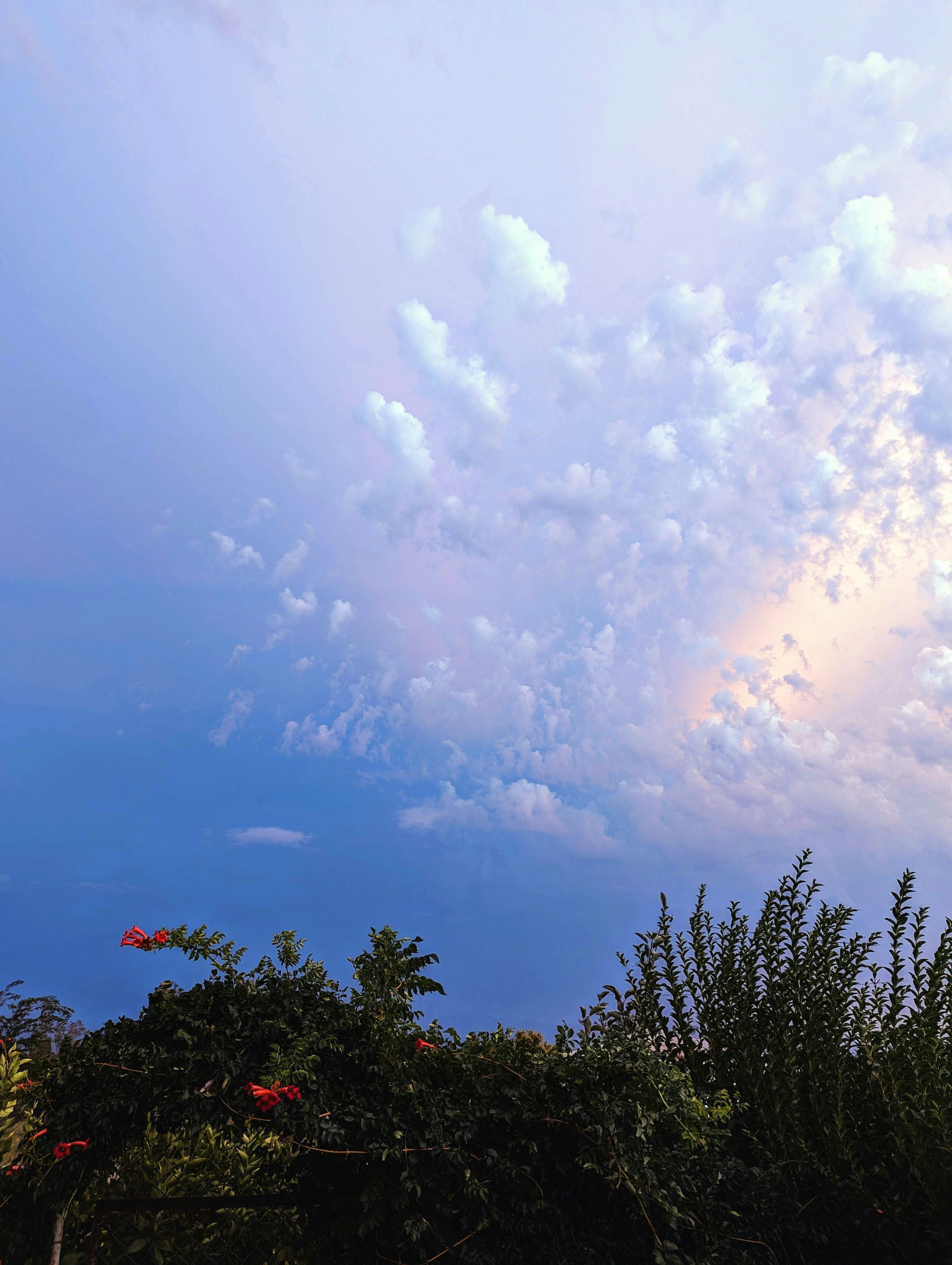a blue sky with white clouds and some trees