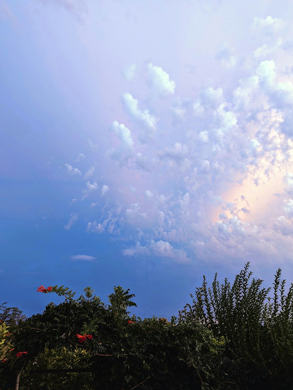 a blue sky with white clouds and some trees