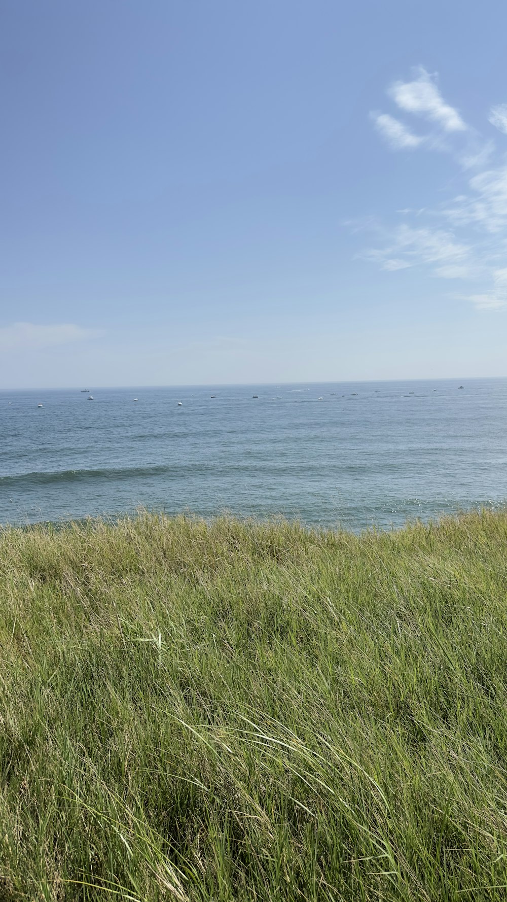 a view of the ocean from a grassy hill