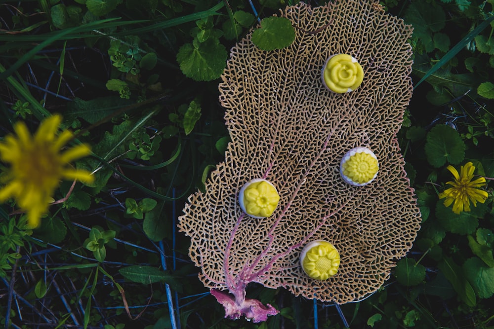 a group of yellow flowers sitting on top of a lush green field