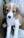 A young mixed-breed puppy with brown and white fur is sitting on a rough, textured surface. Its dark eyes are looking directly at the viewer, and it has a gentle expression. The background is a mixture of muted colors with patches of moss and a worn-out texture.
