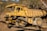 An industrial dump truck with a yellow, weathered exterior parked on rugged terrain near a forested area. The massive vehicle features large, thick tires and is designed for heavy-duty tasks.