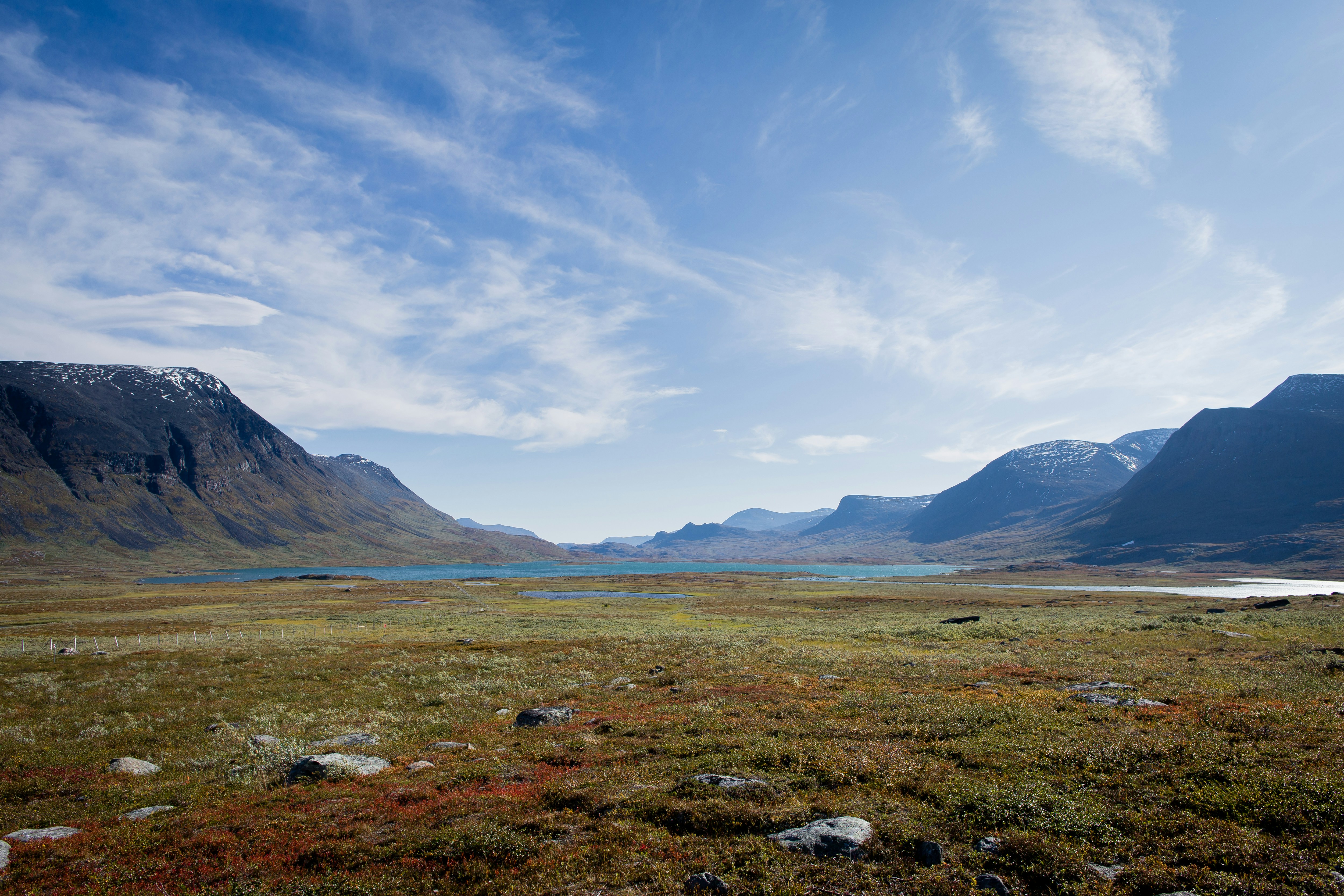a grassy field with mountains in the background