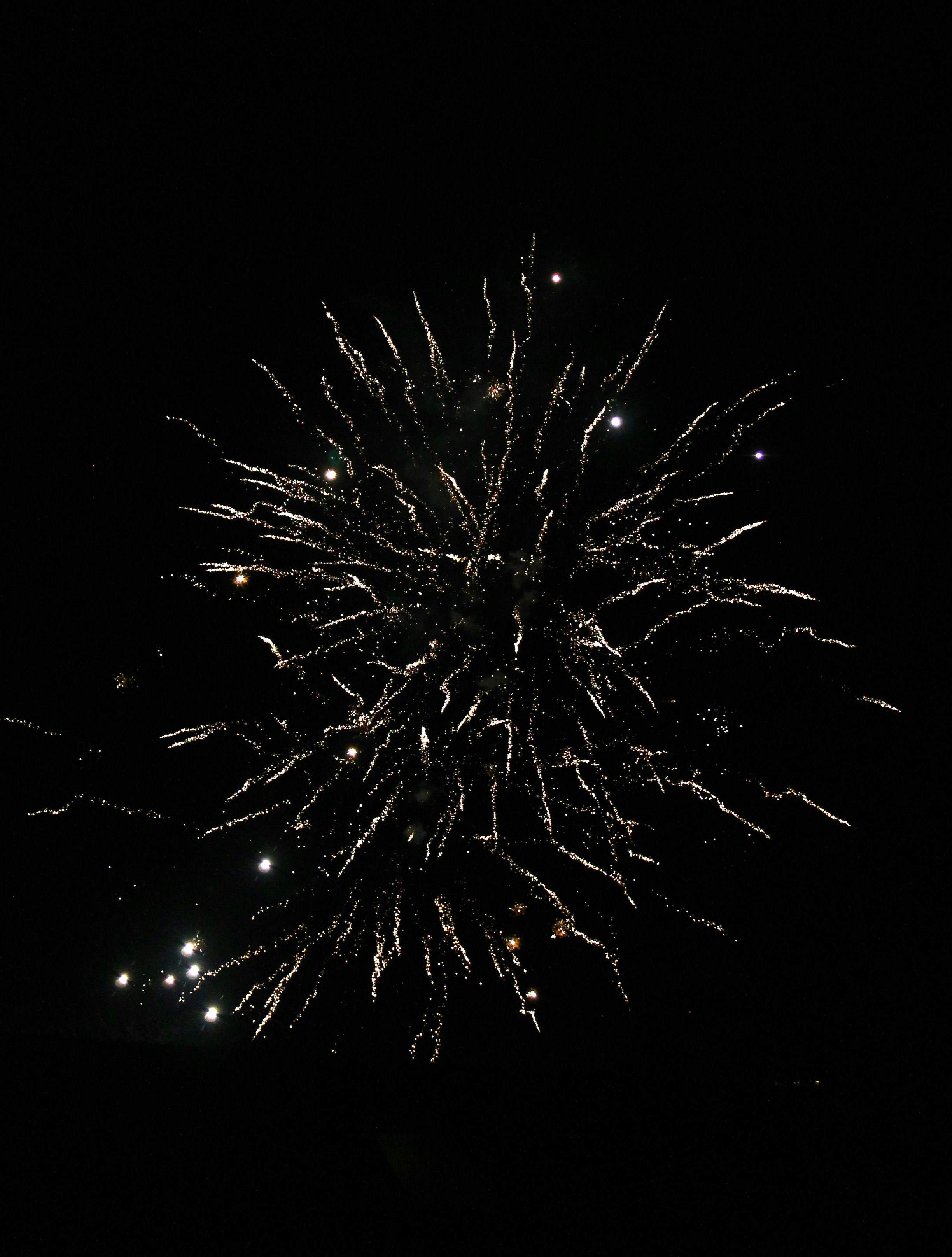 a fireworks is lit up in the dark sky