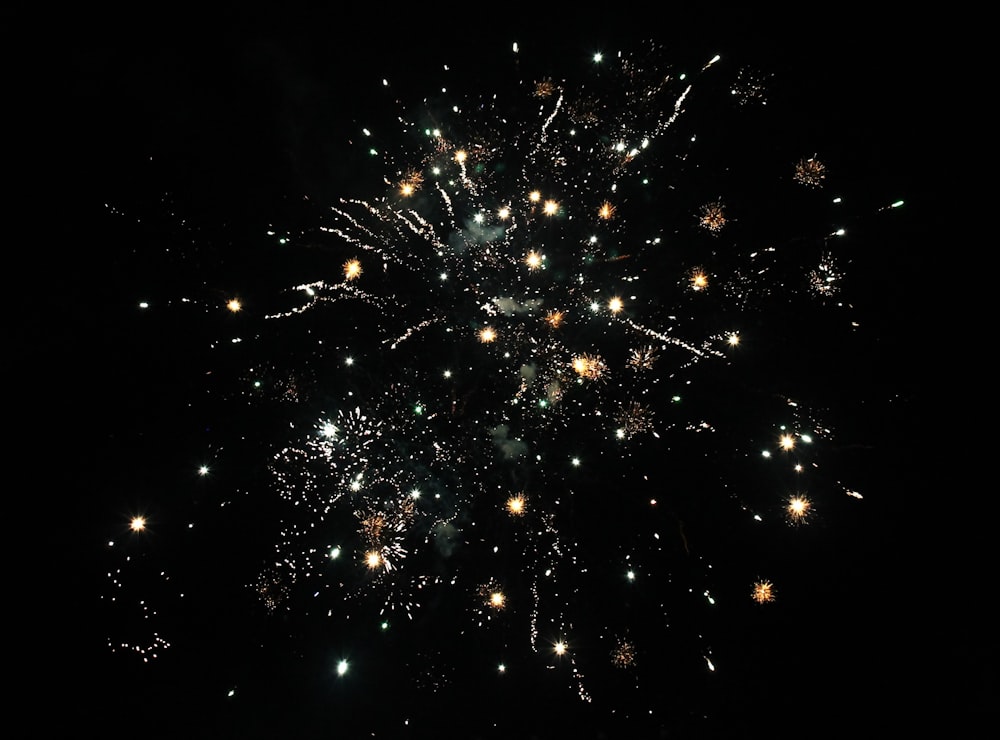 a large fireworks is lit up in the night sky