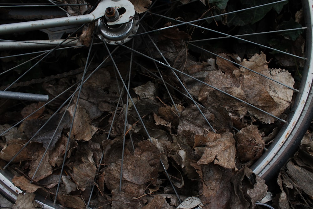 a close up of a bicycle wheel on a pile of leaves