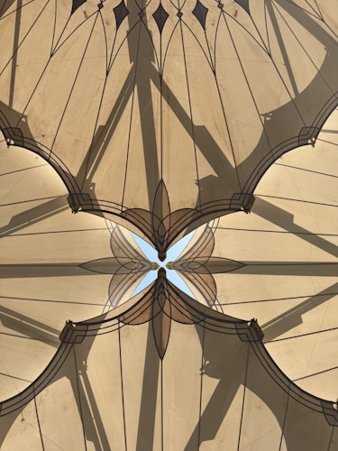 An intricate architectural canopy with geometric patterns and shadows. The structure forms a symmetrical design with a mix of straight lines and curves, creating a flower-like shape in the center. The material appears translucent, allowing sunlight to cast intricate shadows.