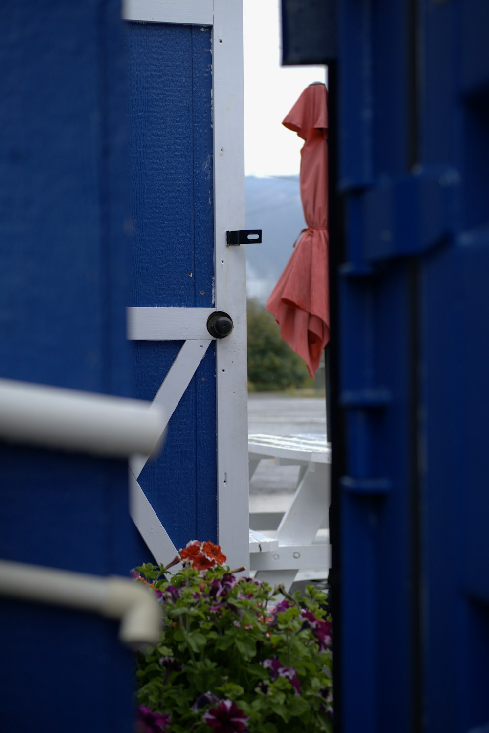 una puerta azul y blanca y algunas flores