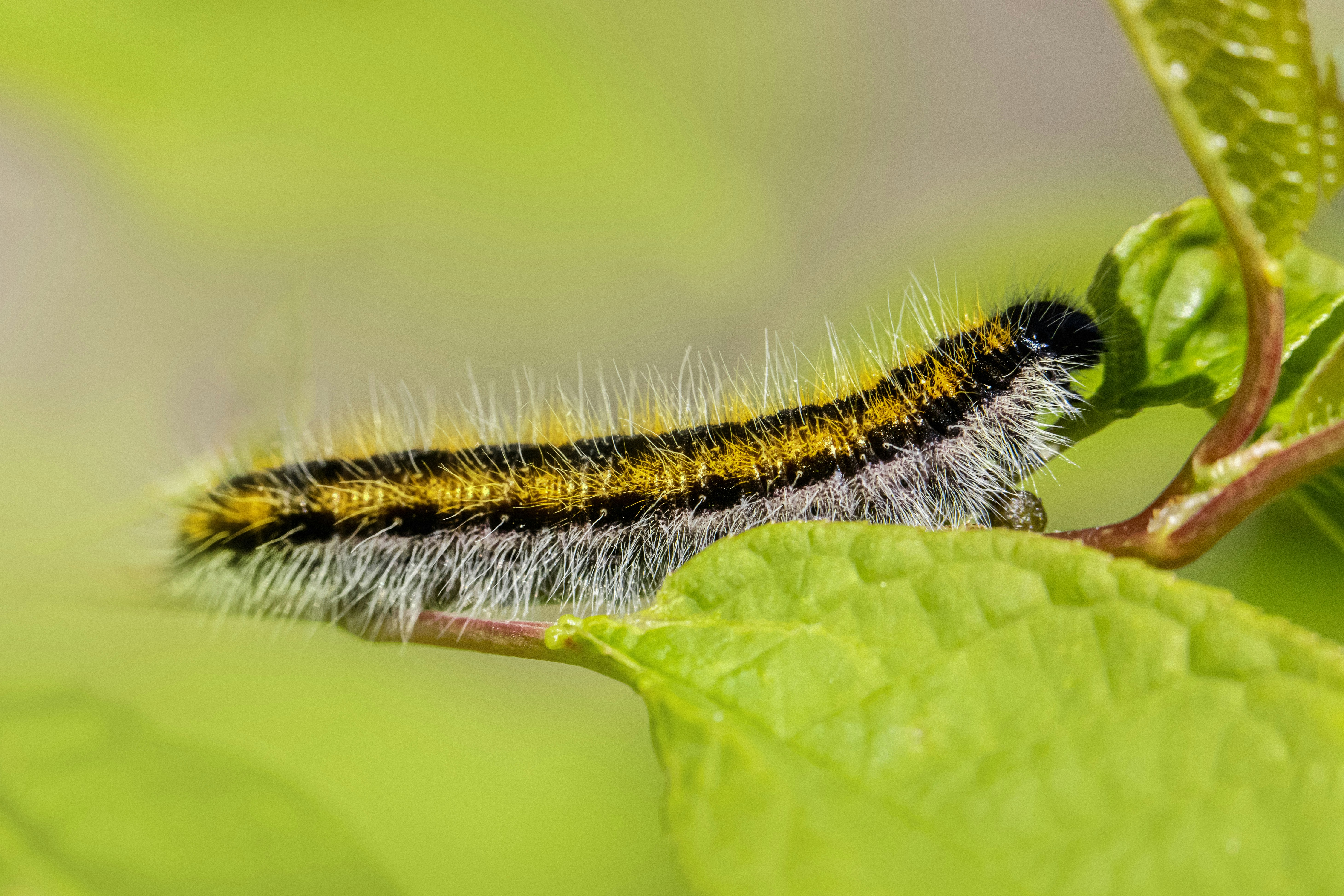 Photo by erik_karits