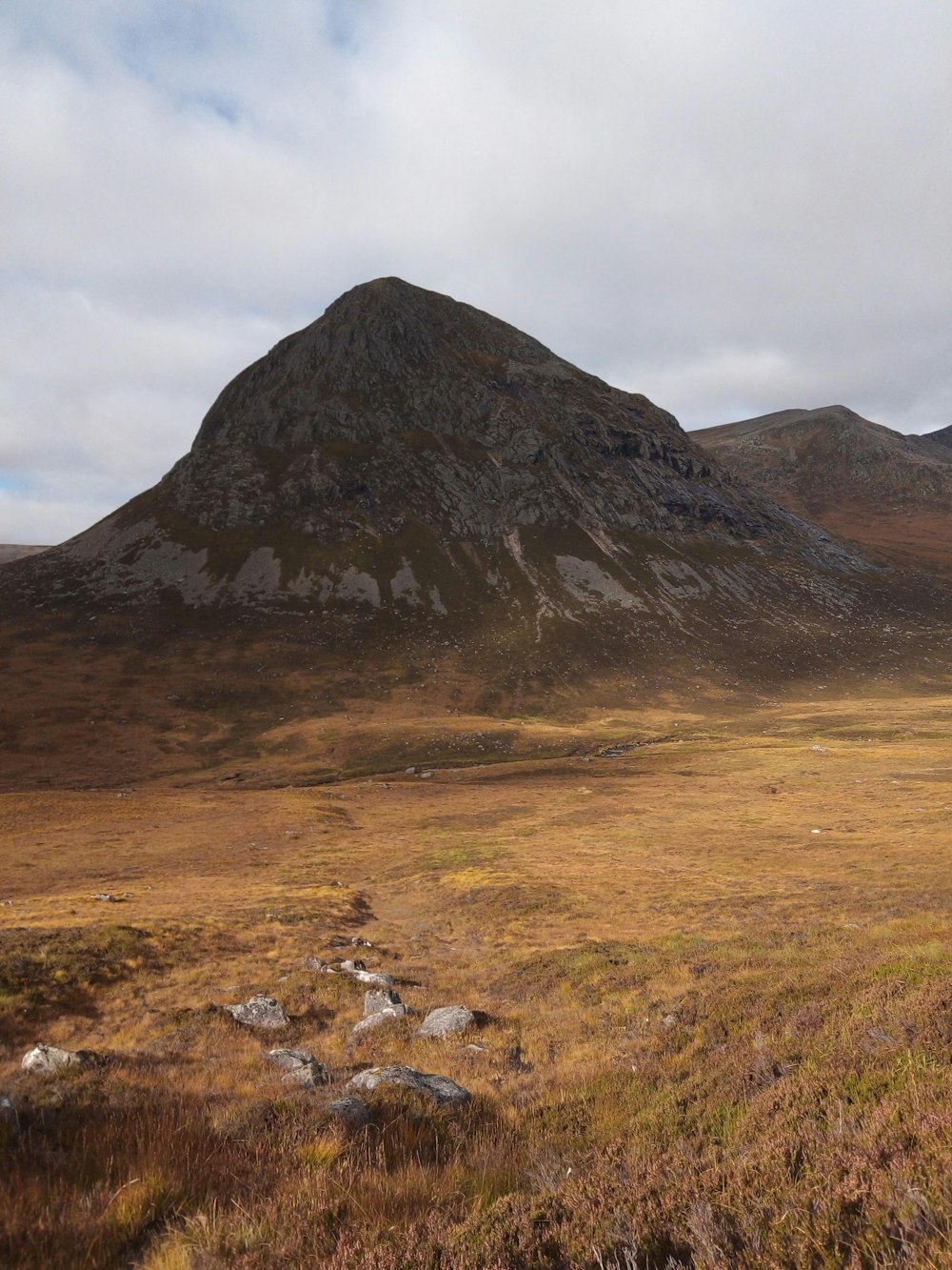 a grassy field with a mountain in the background