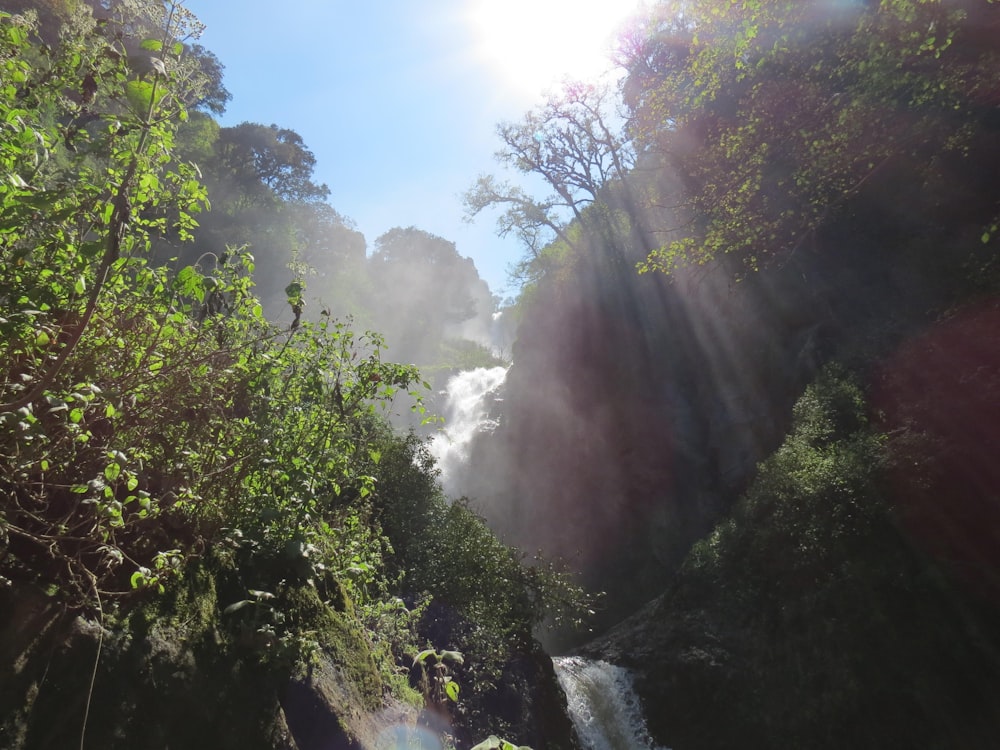 the sun shines through the trees above a waterfall